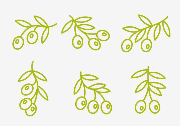 Conjunto de vektores de ramas con olivas lineal para logotipos, iconos, simbolos