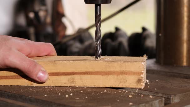 De mens boort een gat in een stuk hout met een boor. Ambacht, industrie, houtwerk. Close-up zicht. — Stockvideo