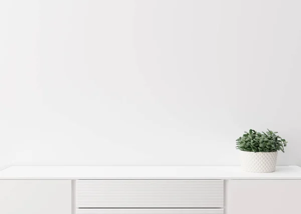 Empty white wall. Mock up interior in contemporary style. Close up view. Free space, copy space for your picture, text, or another design. Sideboard, plant. 3D rendering.