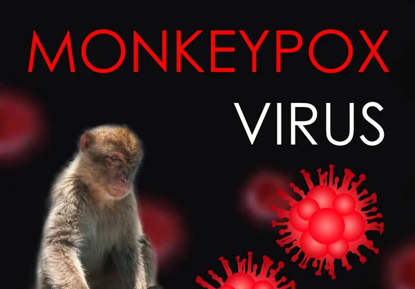 Illustration of monkeypox, infectious disease caused by the monkey pox virus. Multi-country outbreak, the new cases. Viral zoonotic disease, dangerous infection.