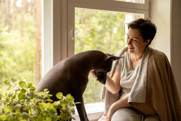 Middle Age Beautiful Woman Sitting Windowsill Her Dog Year Old — Stock fotografie