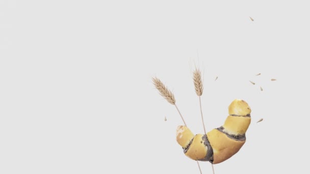 小麦の耳 白い背景のペストリー セリアック病とグルテン不耐症の概念 ヘルスケア 健康的な食事 健康的なライフスタイル グルテンフリーダイエット 3Dレンダリング — ストック動画