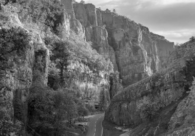 siyah ve beyaz çedar geçidi