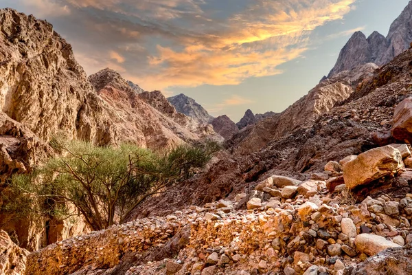 Dilekwashi Kanyonu. Ras Şeytanı Nuweiba. Çok güzel bir gökyüzü. İnanılmaz Mısır 'ı keşfediyorum. Afrika
