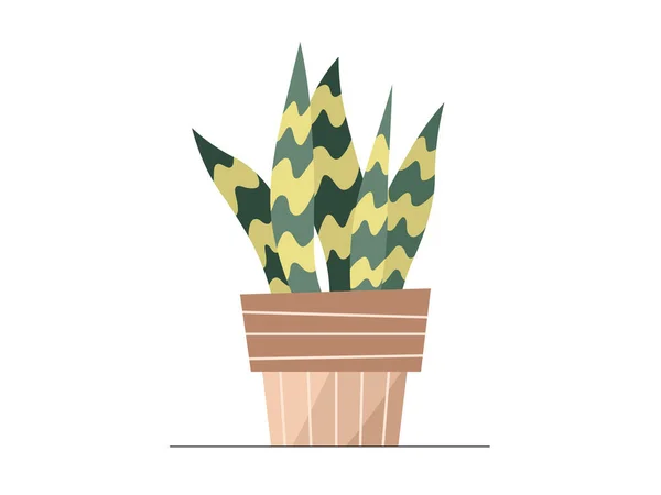 鍋のイラストで平らなヘビの植物 白い背景にベクトルヘビの植物の孤立した色のアイコン 流行のモダンなデザインのためのエレガントな緑のヘビの葉のミニマルな花のフラットイラスト — ストックベクタ