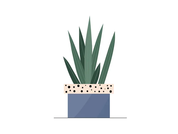 Cacto De Vetor Plano Bonito Na Ilustração De Vaso De Flores Linear Bege.  Mini Planta De Cactos De Desenho Animado Moderno No Ícone De Panela Da  Moda. Elemento Gráfico De Vetor De