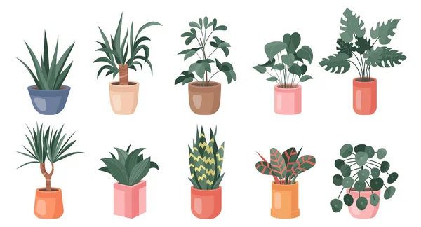 Trendy Collectie Van Huis Schattige Planten Bloempotten Verpakking Pictogrammen Set — Stockvector