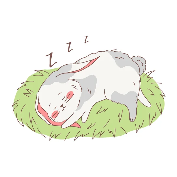 Şirin Tüylü Tavşan Çimenlerde Uyuyor Gri Benekli Beyaz Tavşan Çizilmiş — Stok Vektör
