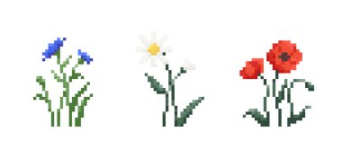 Pixel sanat çiçekleri seti. Klasik 90 'ların oyun ikonu 8 bit kırmızı haşhaş, papatya çayı ve örme otu çiçeği. Oyun ve yazdırma için vektör piksel dosyalandı ve yabani çiçekler