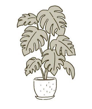 Bir odanın içini gösteren saksı bitkileri.