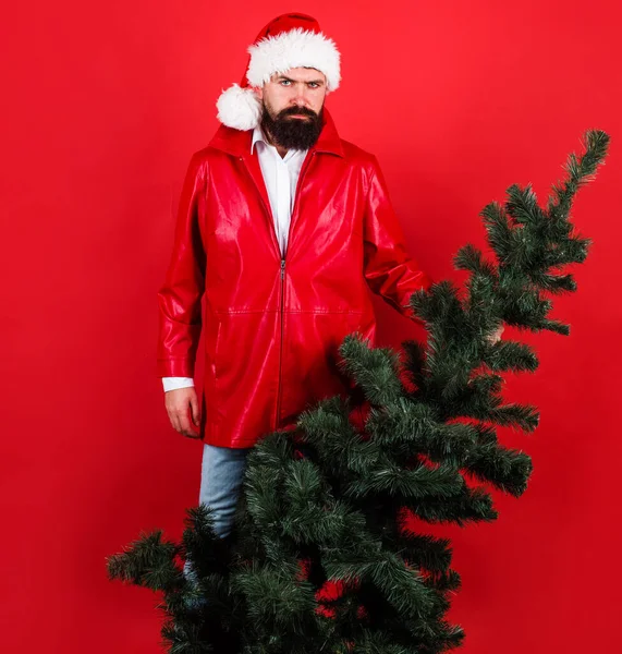 Бородатый человек в красной куртке и шляпе Санты с рождественской ёлкой. Зимние каникулы. Счастливого Рождества. С Новым годом. — стоковое фото
