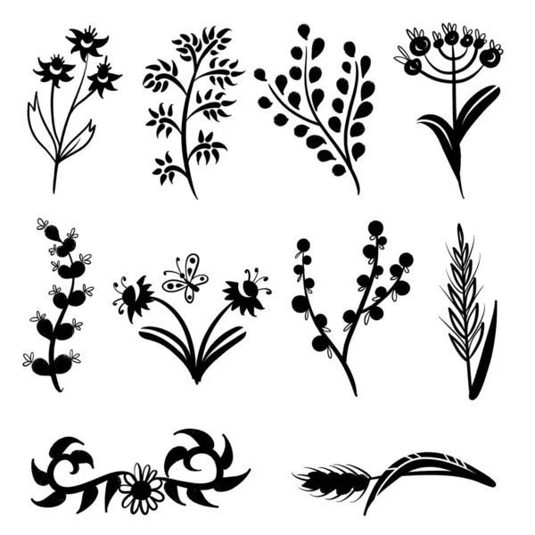 Set Erbe Fiori Selvatici Elementi Floreali Disegnati Mano Illustrazione Vettoriale — Vettoriale Stock