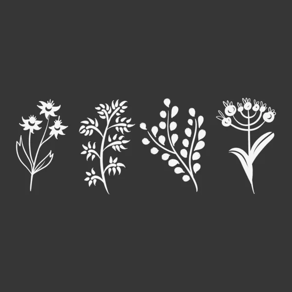 Set Herbs Wild Flowers Hand Drawn Floral Elements Vector Illustration — Vetor de Stock