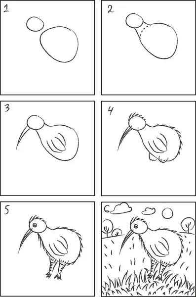 Kiwi bird drawing instruction and coloring book