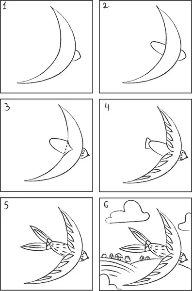 Swift drawing instruction and coloring book