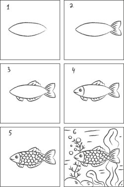 Fish drawing instruction and coloring book