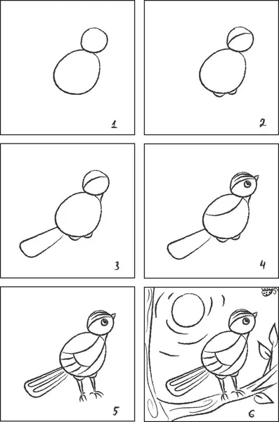Titmouse bird drawing instruction and coloring book