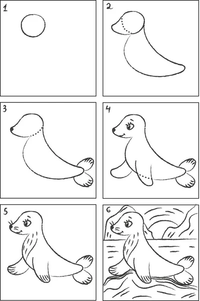 Seal drawing instruction and coloring book