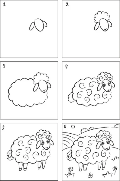 羊の描き方と彩色本 — ストックベクタ