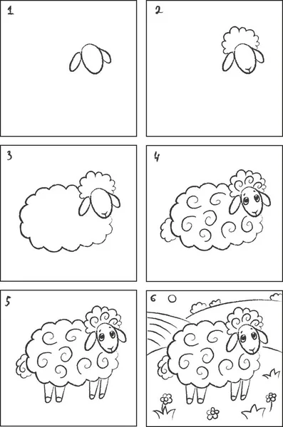 Sheep drawing instruction and coloring book