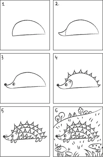 Hedgehog drawing instruction and coloring book