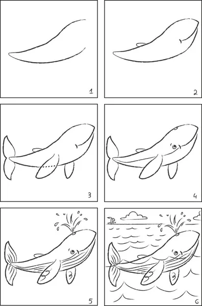 Whale Drawing Instruction Coloring Book — Stock Vector
