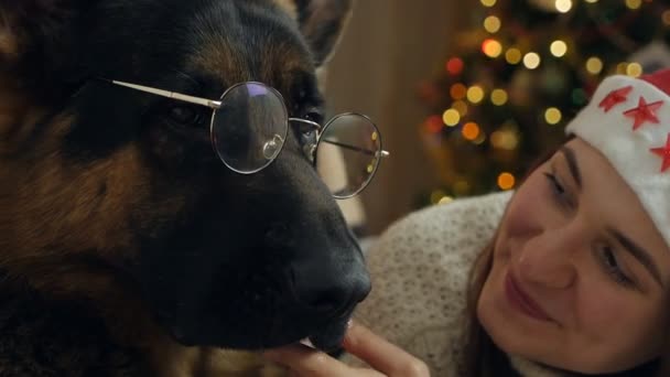 Cute happy young woman spending time with her dog. Young woman celebrates.Christmas at home with her dog — Stock Video