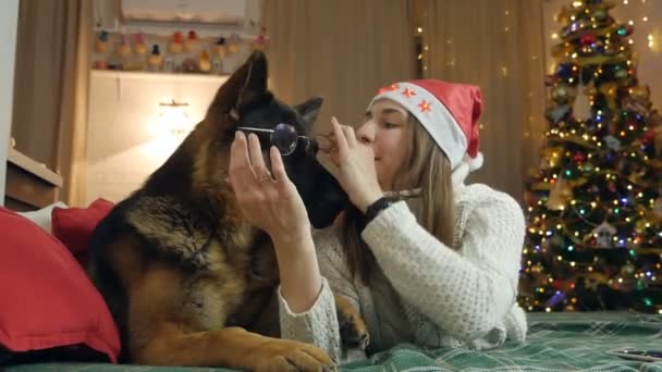 Cute happy young woman spending time with her dog. Young woman celebrates.Christmas at home with her dog — Stock Video