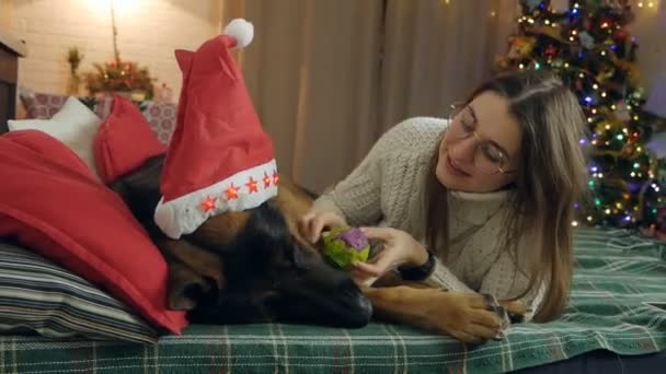 A beautiful girl lies on the sofa with her dog German Shepherd, against the backdrop of Christmas — Stock Video