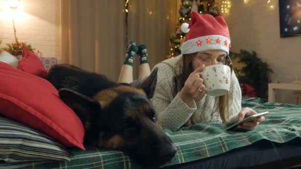 Sıcak örülü süveter giyen güzel bir kadın sıcak çikolata içer ve tatlı köpeği Alman çoban köpeği ile Noel ağacıyla süslenmiş evde yatarken rahatlar. — Stok video