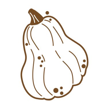  Balkabağı vektörü. El çizimi balkabağı şekilli. Beyaz arkaplanda vektör izolasyonu.