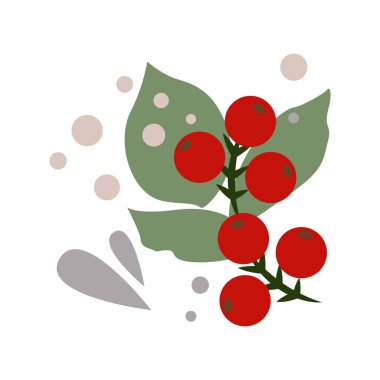 Kırmızı böğürtlen ve beyaz arka planda kırmızı böğürtlen dalları. Düz vektör çizimi. Kağıt, duvar kağıdı, çıkartma, kapak, iğne vs. için uygun. Herhangi bir boyuta göre ölçeklenebilir.