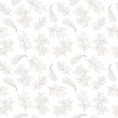 Biberiye, fesleğen, adaçayı, defne yaprağı. Şifalı otlar ve baharatlarla kusursuz desenler çizilmiş mürekkep çizgileriyle çizilmiş. Vektör. Mutfak kumaşları, ambalaj kağıtları, menüler vs. için uygun.