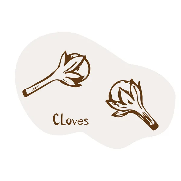 Vecteur Clous Girofle Illustration Vectorielle Dessinée Main Aux Herbes Épices — Image vectorielle