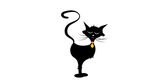 Пукающая Черная Кошка Говорит — стоковое видео