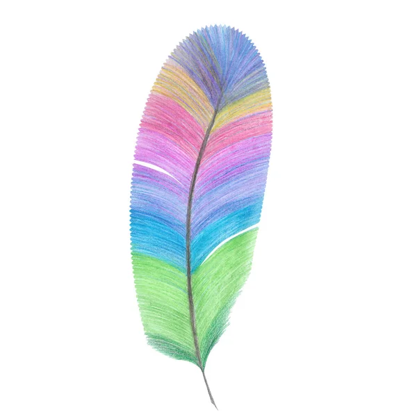 Feather Colorful Stripes Isolated White — Stock Photo, Image