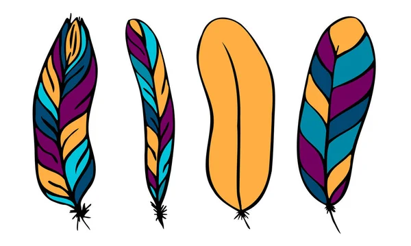 Set Different Feathers Handwritten Color — Stock Vector