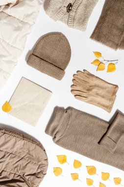 Sonbahar sıcak giysileri düz, örgü şapka, yün atkı ve süet eldivenler, bej kazak. Kadınlar sonbahar mevsiminde soğuk hava için örgü örerler. Üst görünüm.