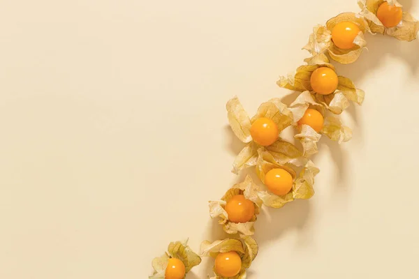 Physalis Frucht Oder Physalis Peruviana Kleine Goldene Beeren Auf Beigefarbenem — Stockfoto