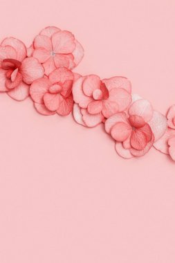 Küçük pembe ortanca çiçekleriyle çiçek aranjmanı, doğal çiçekli daire yaz mevsiminde yatıyordu. Kopyalama alanı olan en küçük monokrom üst görünümü.