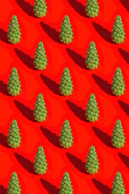 Yeşil kozalaklı Noel deseni ve kırmızı arka planda koyu renk gölge. Kış kutlaması için doğal süslemeler. Yeni yıl tatili konsepti.