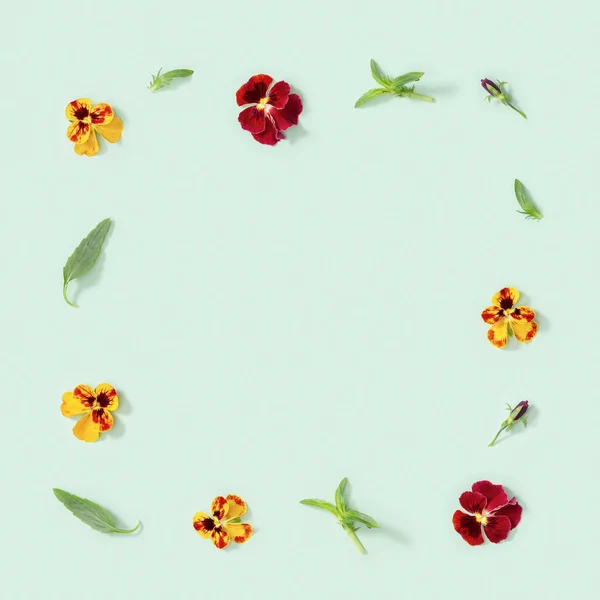 黄色と赤のパンジーの花と現代の花のフレーム コピースペースと小さな夏のフラットレイアウトの花の季節のスタイリング — ストック写真