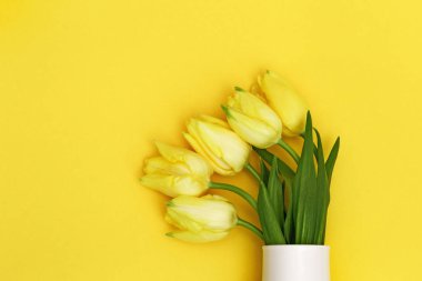 Tek renkli arka planda sarı lalelerden oluşan bir vazo. Bahar sarısı lale çiçekli doğal çiçek arkaplanı. Üst görünüm ve kopyalama alanı.