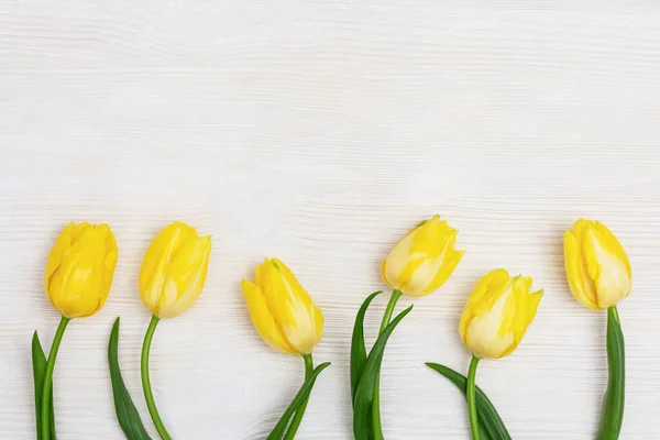 黄色の花を咲かせるチューリップは 白い木製のテーブルの上にコピースペースがあります 女性や母の日のための春の花 — ストック写真