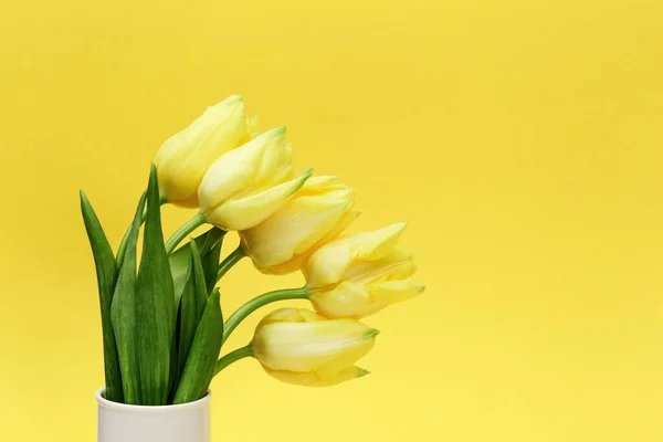 黄色の花を咲かせるコピースペースのあるモノクロームの背景に花瓶にチューリップ 母の日の春の花 — ストック写真