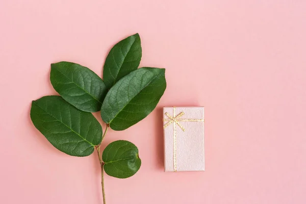 Ροζ Κουτί Δώρου Έκπληξη Και Φυσικό Υποκατάστημα Πράσινα Φύλλα Για — Φωτογραφία Αρχείου