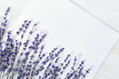 Metnin için tahta ve kağıt üzerinde lavanta dalları. Kopya alanı olan beyaz ahşap arkaplanda lavanta çiçekleri.