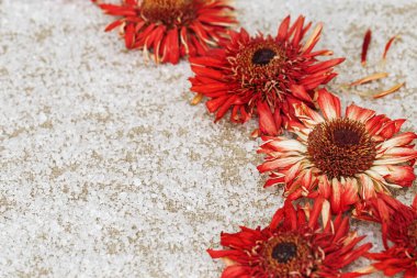 Doğal pamuk kumaş üzerinde parlak kırmızı çiçekler ve kaba beyaz tuz kristalleri. Doğal çiçekli fon. Spa arkaplanı.