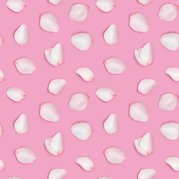 Pattern from white rose flower petals, many flying flower petals on pink background. Valentines Day, Mothers Day holiday concept. Flat lay flowers composition, top view — Stock Photo, Image