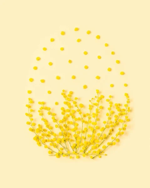 Easter egg shape from fluffy mimosa flowers, yellow monochrome easter minimal concept. Spring holiday symbol, creative flat lay composition with natural acacia tree branches, still life pattern